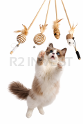 Pet toy for cat 4pcs / set
